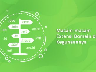 macam-macam domain